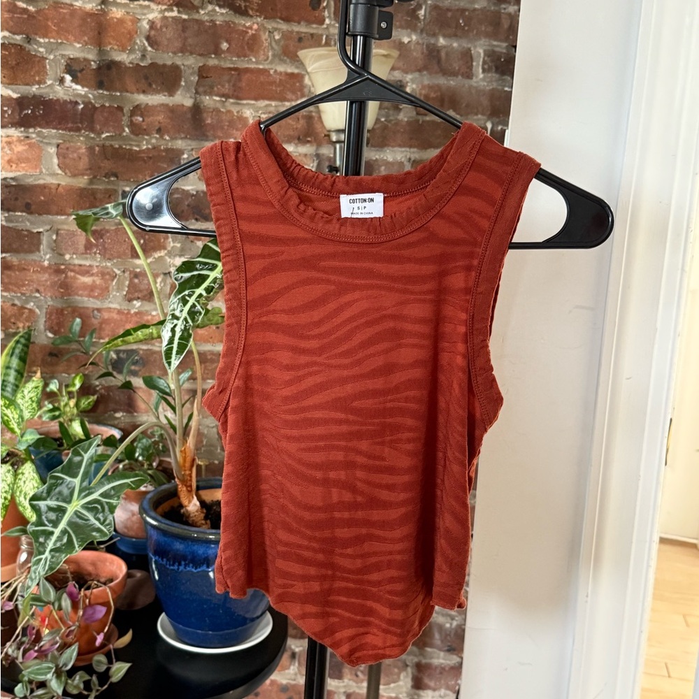 Burnt Orange zebra striped Cotton On Crop top